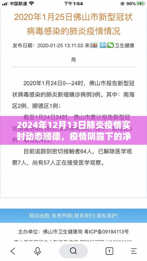 顺德疫情动态与心灵洗涤之旅，探索净土，直面肺炎疫情的挑战