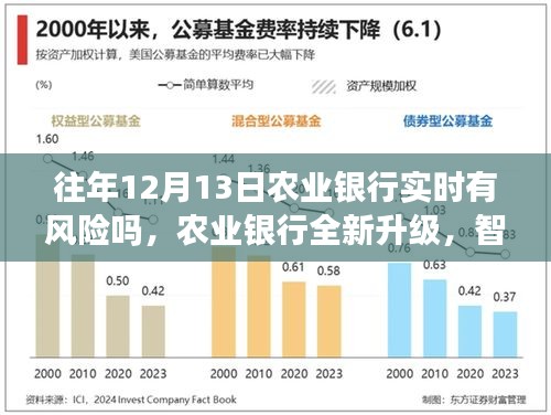 农业银行智能风控系统升级引领金融科技新纪元，实时风险分析与防范能力探讨