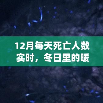 冬日暖心故事，实时关注12月每日死亡人数，陪伴时光，温暖不再孤独