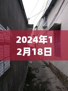 山东寒亭天气预报下的美食惊喜之旅，小巷深处的暖意饗堂探秘