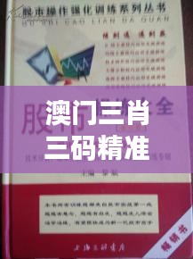 澳门三肖三码精准100%黄大仙 实战赢家指南