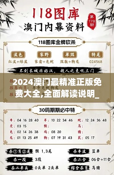 2024澳门最精准正版免费大全,全面解读说明_R版4.569