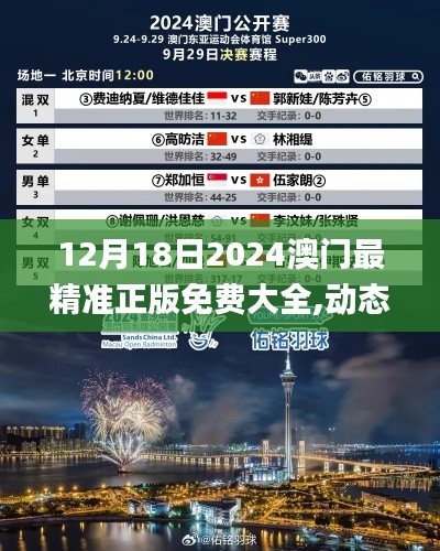 12月18日2024澳门最精准正版免费大全,动态说明解析_钻石版12.444