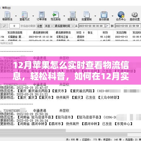 12月苹果产品物流实时跟踪指南，轻松科普如何查看物流信息