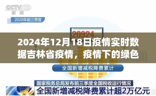 吉林省疫情下的绿色避风港与心灵宁静的自然探索之旅（实时数据更新）