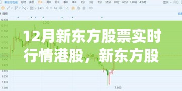 新东方股票实时行情港股评测与介绍，深度解析12月股市动态