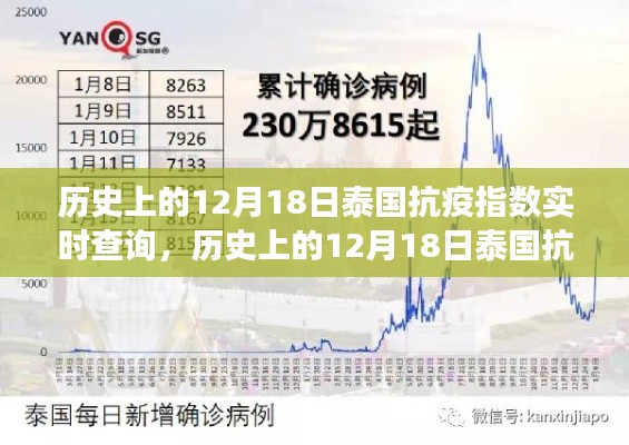 多维度视角下的泰国抗疫指数实时查询与观点碰撞，历史上的12月18日回顾