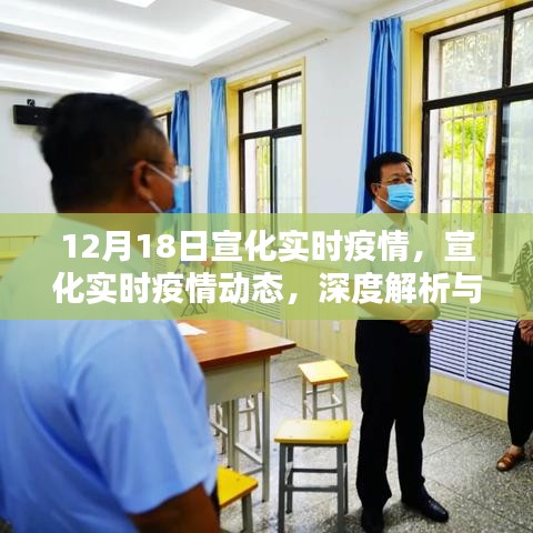 宣化实时疫情深度解析及用户体验报告，最新动态与体验反馈