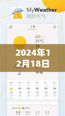 2024年12月19日 第17页