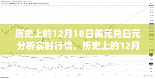 2024年12月19日 第13页