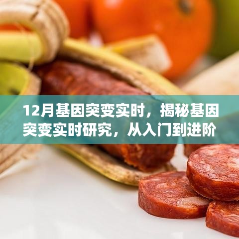 揭秘基因突变实时研究，从入门到进阶全程指南（适合初学者与进阶用户）