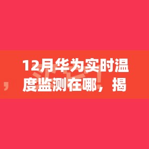 2024年12月19日 第9页