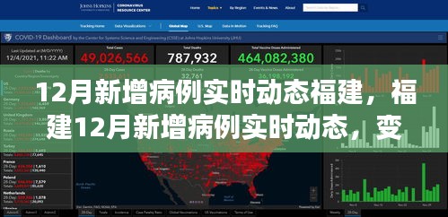 福建12月新增病例实时动态，变化中的学习之旅，铸就自信与成就感的征程