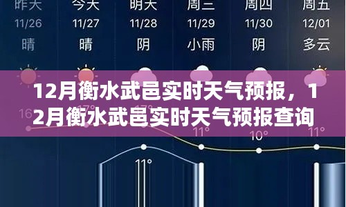 12月衡水武邑实时天气预报及查询步骤指南