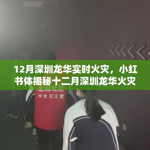 小红书揭秘，深圳龙华火灾真相与紧急应对实录，反思与启示