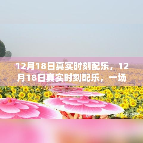 12月18日真实时刻配乐，音乐的盛宴，情感随旋律流淌