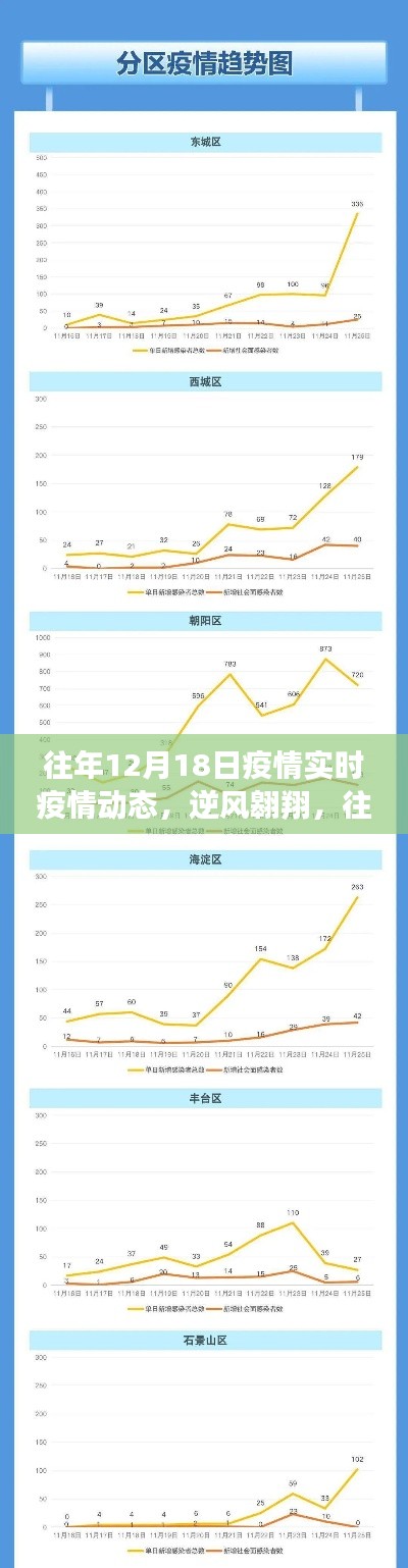 往年12月18日疫情动态回顾与展望，逆风翱翔与成长之路