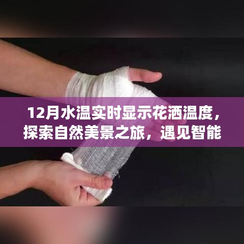 智能水温花洒，探索自然美景之旅，实时水温体验开启内心宁静与欢笑