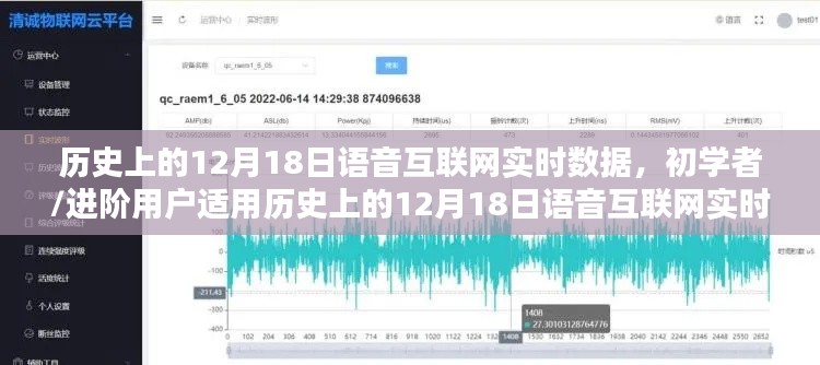 历史上的12月18日语音互联网实时数据探索指南，初学者与进阶用户适用