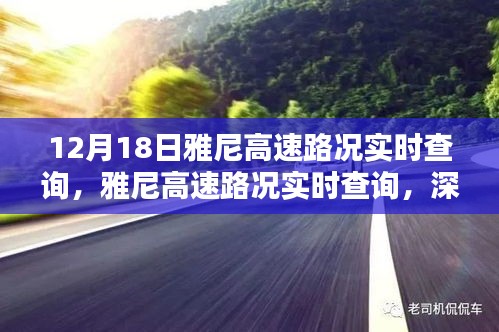 雅尼高速路况实时查询深度解析与观点阐述，最新路况信息，不容错过！