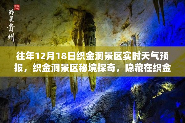 织金洞景区天气预报揭秘与秘境探奇之旅，小巷特色小店与天气预报之旅的完美结合