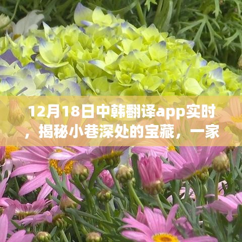 中韩翻译App带你探寻小巷深处的宝藏，特色小店的秘密