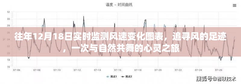 轻徙鸟举