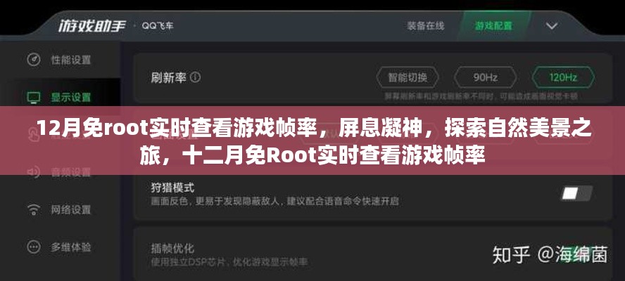 十二月免Root实时查看游戏帧率，屏息凝神，探索自然美景的游戏之旅