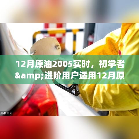 初学者与进阶用户指南，如何实时关注并洞察原油市场动态（2023年12月版）