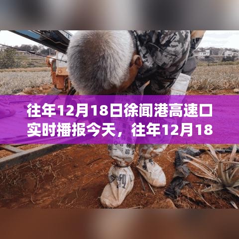 历年12月18日徐闻港高速口实时播报，今日交通状况分析与影响观察