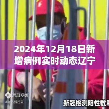 辽宁新病例动态下的自然探索之旅，寻找内心的宁静与微笑（实时更新至2024年12月18日）