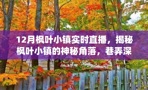 12月枫叶小镇深度探索，神秘角落与巷弄小店的直播揭秘