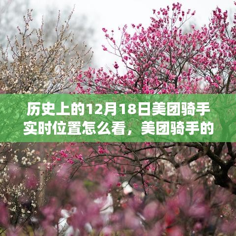 美团骑手的历史瞬间与探寻自然美景之旅的启示鼓舞——实时位置查看指南