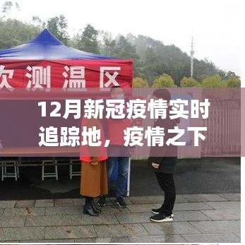 深度解析，12月新冠疫情实时追踪地，疫情之下的观察与追踪