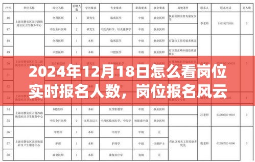 揭秘岗位报名风云，岗位实时报名人数揭秘与报名现场小故事回顾，2024年12月18日深度观察