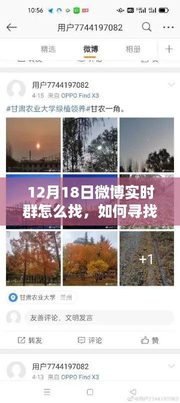 如何寻找12月18日微博实时群的方法指南