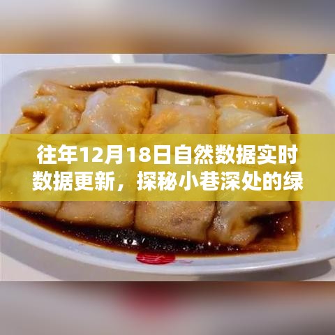 探秘绿色数据宝藏，特色小店与自然数据实时共舞，小巷深处的最新更新动态