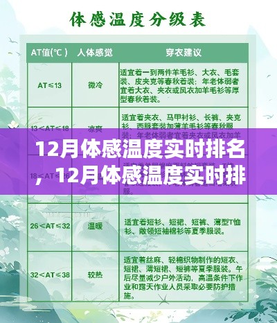 12月体感温度实时排名查询全攻略，从入门到精通的步骤指南