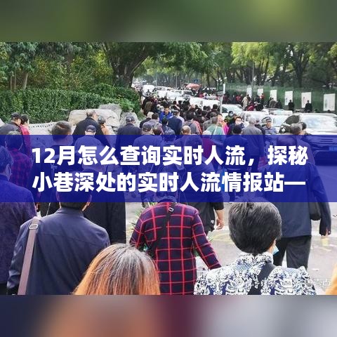 探秘隐藏式人流查询指南，实时掌握小巷深处人流情报的秘诀