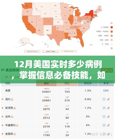 美国实时病例查询指南，掌握信息必备技能与查询方法