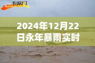 雨幕之下，永年暴雨纪实与实时动态