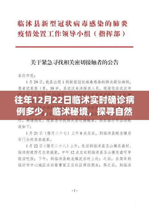 临沭实时确诊病例更新及秘境自然美景探寻之旅，重拾内心的宁静与和谐