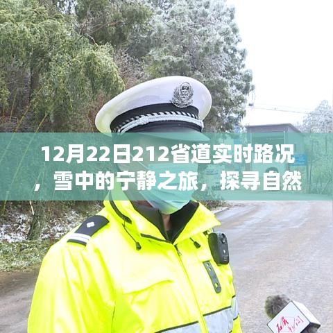 冬日雪中的宁静之旅，探寻自然美景，启程于212省道的实时路况探索之旅