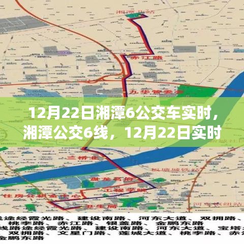 湘潭公交6线深度体验评测与实时解析，12月22日实时报告