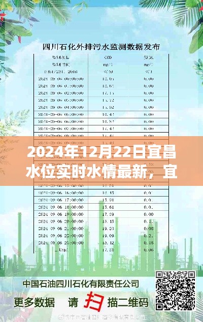 宜昌水位启示录，学习变化的力量，自信与成就感的源泉（实时更新至2024年12月22日）