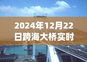 跨海大桥壮丽景色与宁静之旅，实时探寻桥梁下的秘密之旅（2024年跨海大桥实时报道）