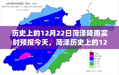 菏泽历史上的雨日，12月22日的雨中印记与实时预报