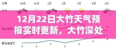 大竹天气预报实时更新，聆听自然之声，掌握天气动态