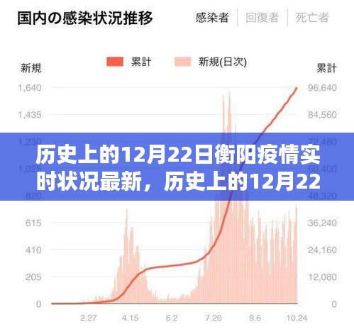 历史上的12月22日衡阳疫情实时状况深度解析与最新评测