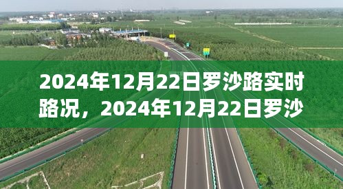 罗沙路实时路况导航指南，行车技巧从初学到进阶